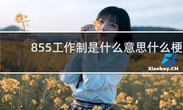 855工作制是什么意思什么梗