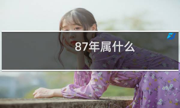 87年属什么