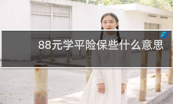 88元学平险保些什么意思