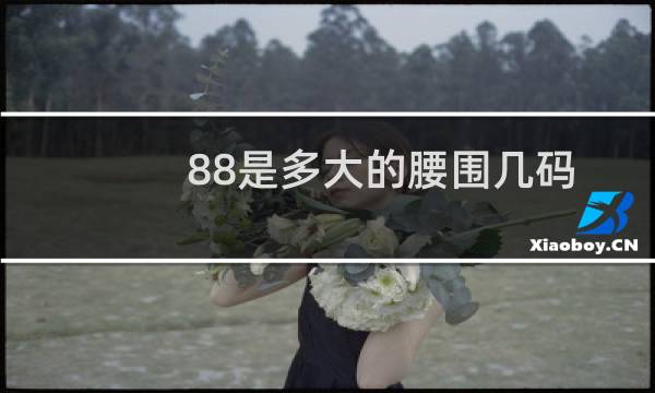 88是多大的腰围几码