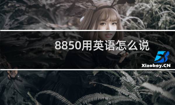 8850用英语怎么说