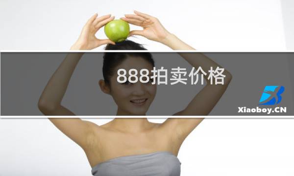 888拍卖价格