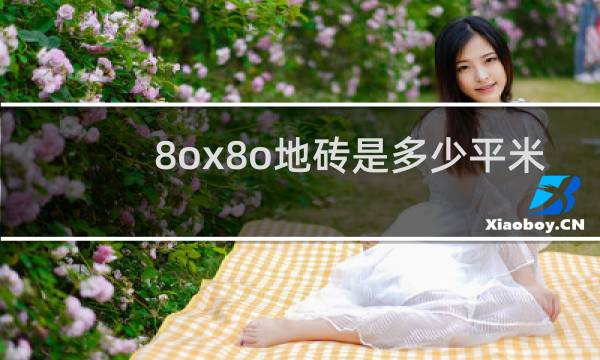 8ox8o地砖是多少平米