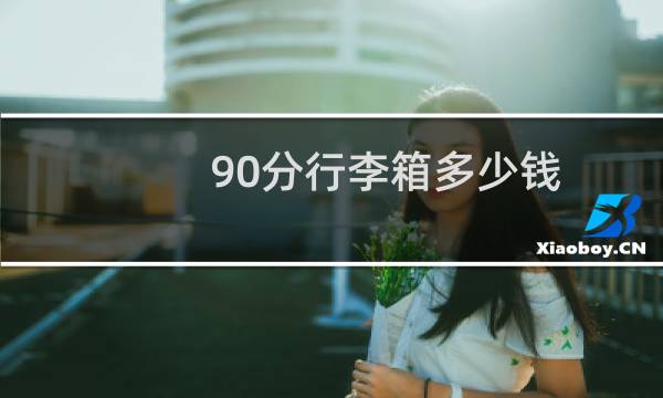 90分行李箱多少钱