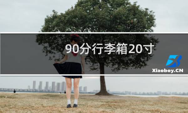 90分行李箱20寸