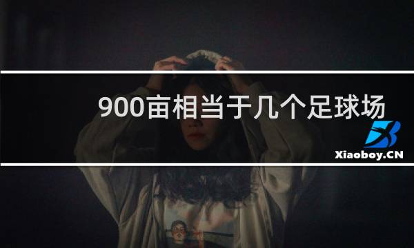 900亩相当于几个足球场