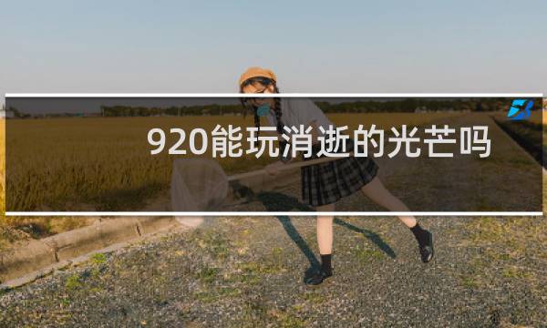 920能玩消逝的光芒吗