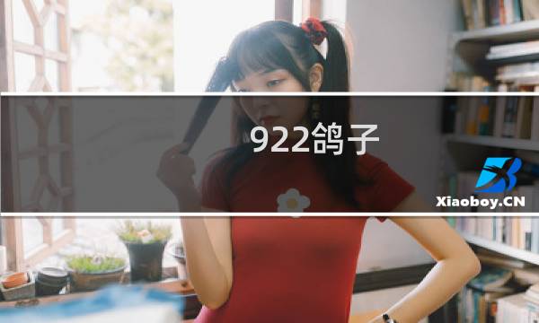922鸽子