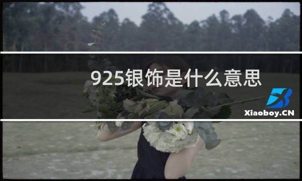 925银饰是什么意思