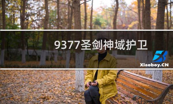9377圣剑神域护卫