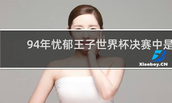 94年忧郁王子世界杯决赛中是谁