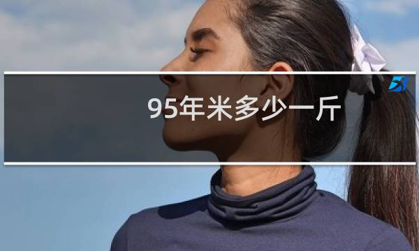 95年米多少一斤