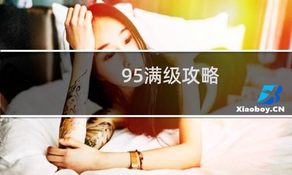 95满级攻略