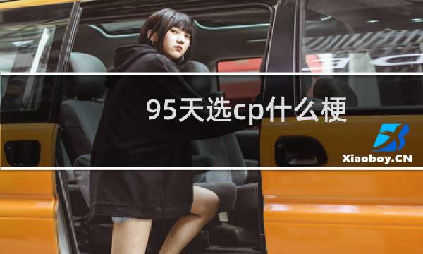 95天选cp什么梗