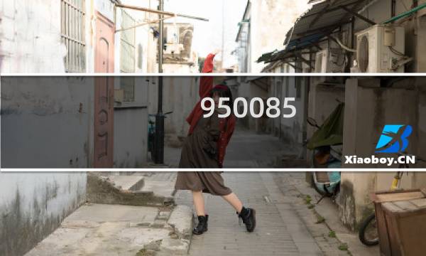 950085.com被停止解析