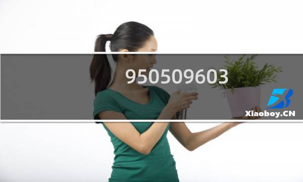 950509603（950509怎么用）