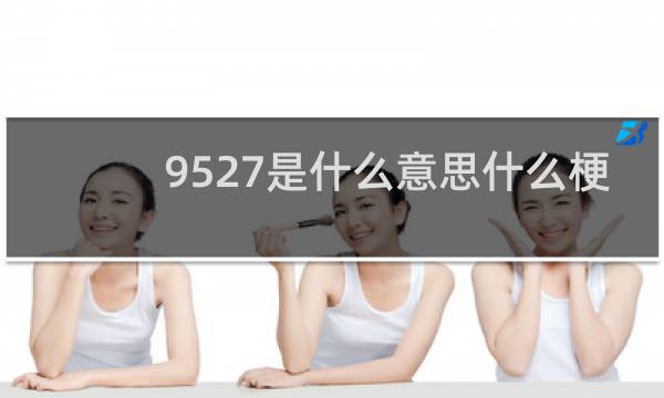 9527是什么意思什么梗