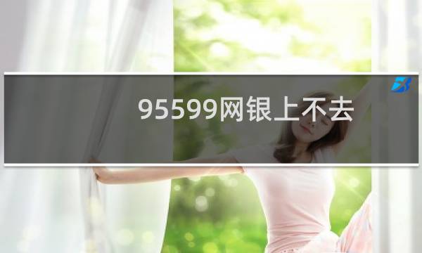 95599网银上不去（95599网上银行）图片