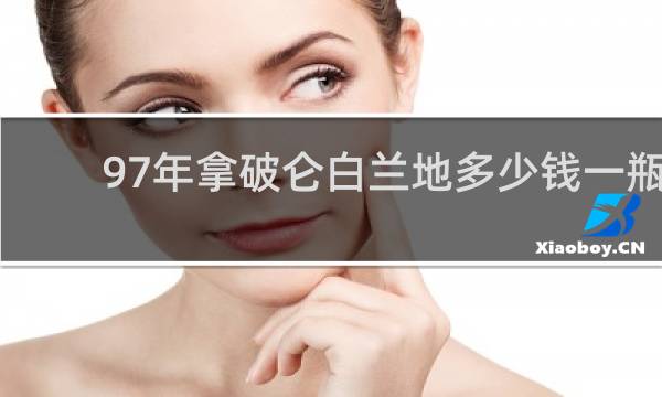 97年拿破仑白兰地多少钱一瓶