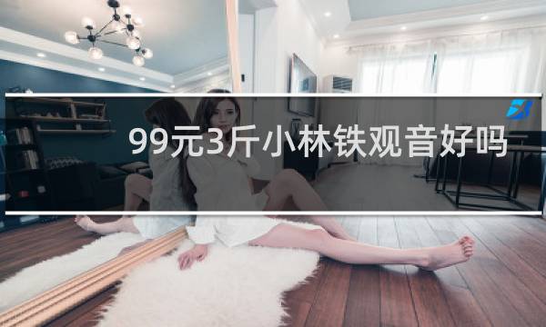 99元3斤小林铁观音好吗