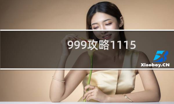 999攻略1115