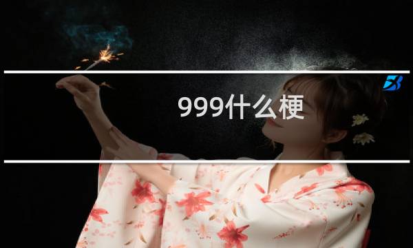 999什么梗