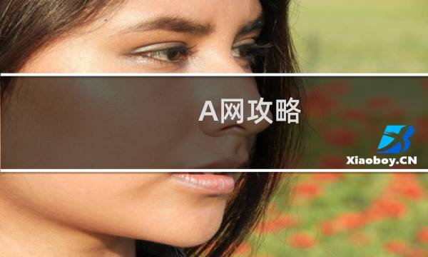 A网攻略