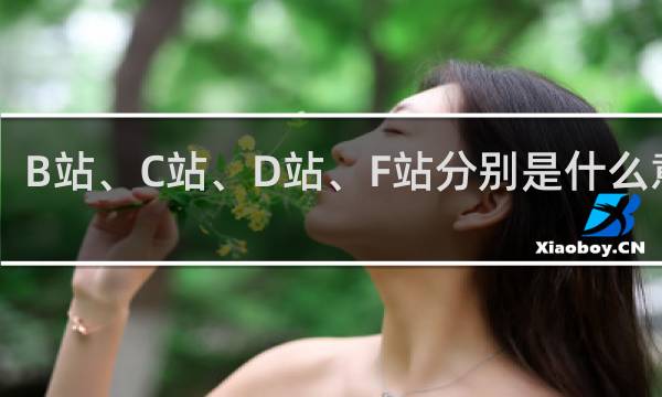 A站、B站、C站、D站、F站分别是什么意思什么梗