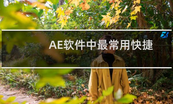 AE软件中最常用快捷键大全
