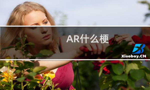 AR什么梗