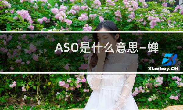 ASO是什么意思—蝉大师教程分享