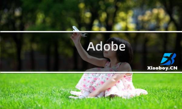 Adobe Acrobat和Adobe Reader有什么区别