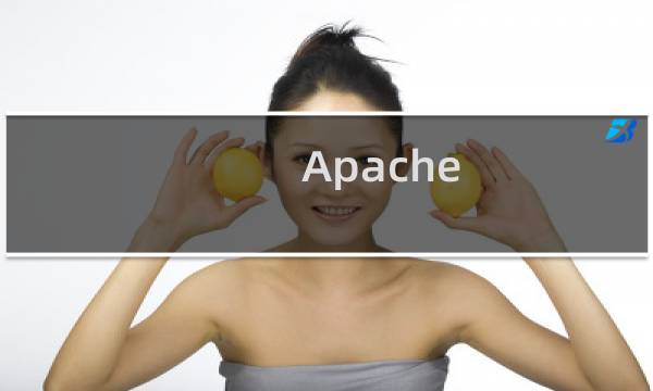 Apache Web服务器安全设置注意事项