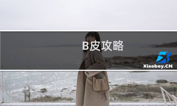 B皮攻略