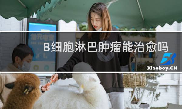 B细胞淋巴肿瘤能治愈吗
