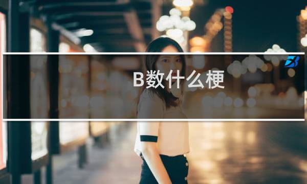 B数什么梗