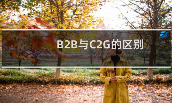 B2B与C2G的区别
