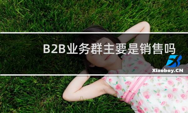 B2B业务群主要是销售吗