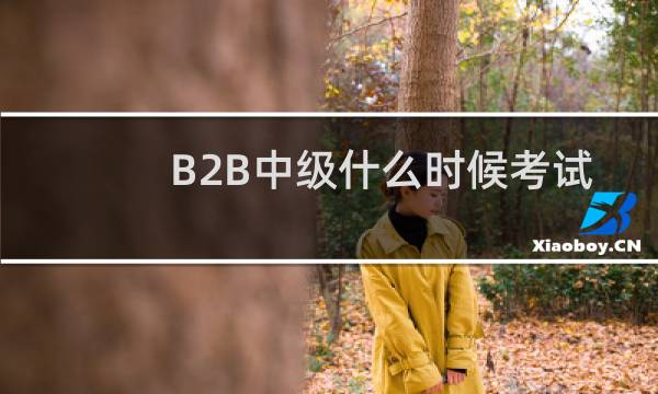 B2B中级什么时候考试