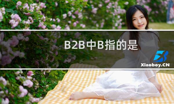 B2B中B指的是
