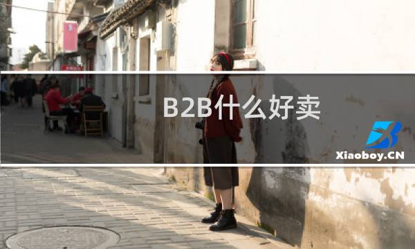 B2B什么好卖