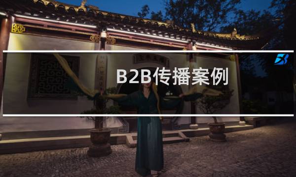 B2B传播案例