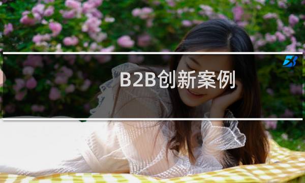 B2B创新案例