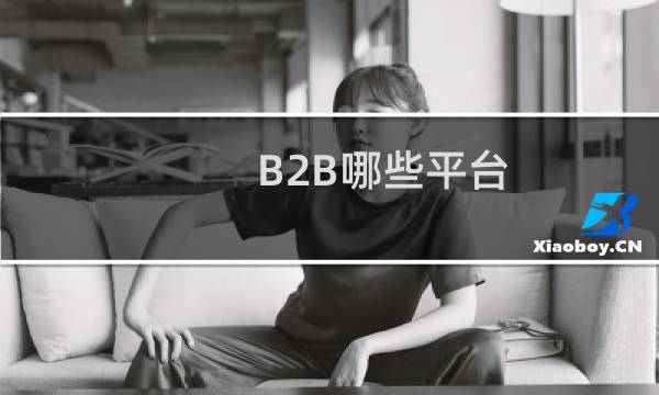 B2B哪些平台