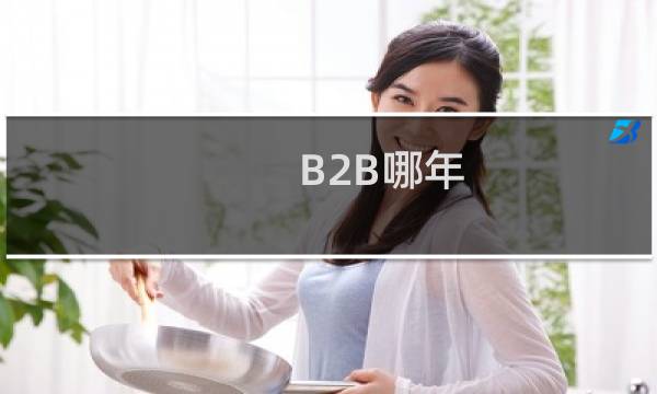 B2B哪年