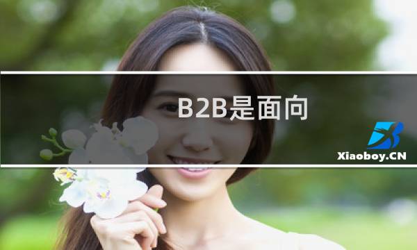 B2B是面向