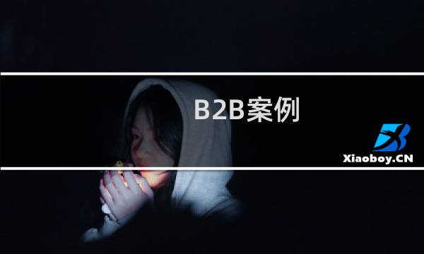 B2B案例 特点