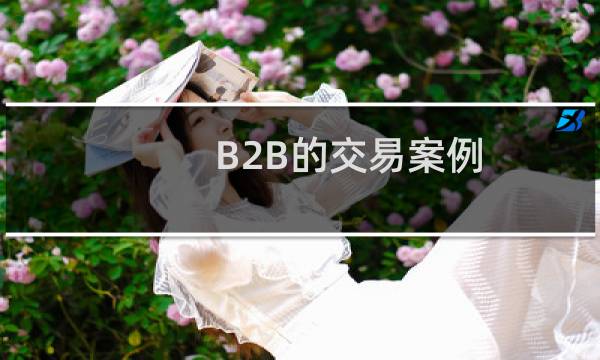 B2B的交易案例