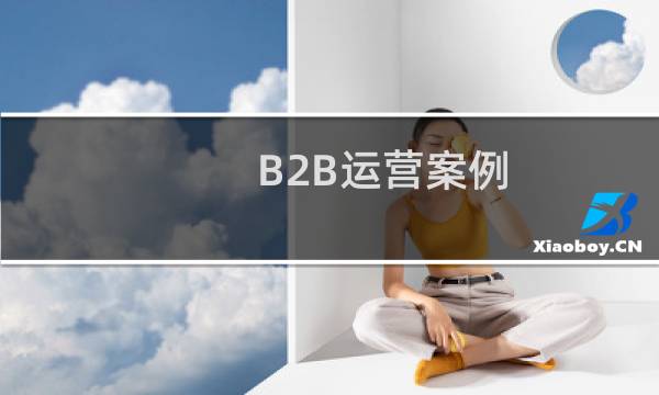 B2B运营案例