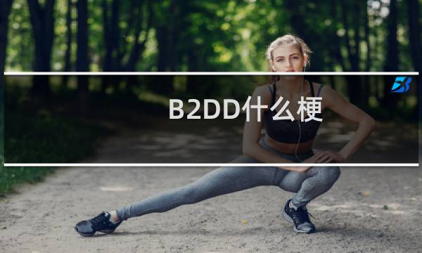 B2DD什么梗